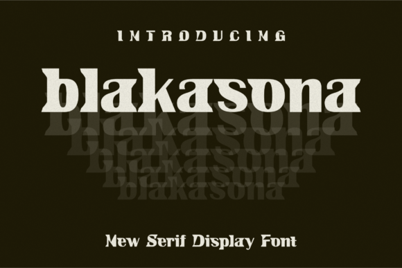 Blakasona: A Modern Serif Font for Editorial Elegance