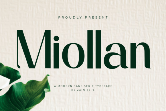 How Miollan Transformed My Brand's Visual Identity