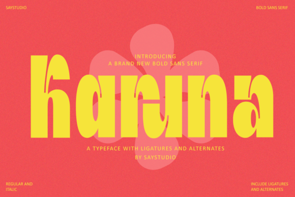 Karuna: The Bold Sans Serif That Commands Attention