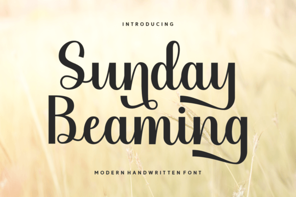 Sunday Beaming for Modern Web Design